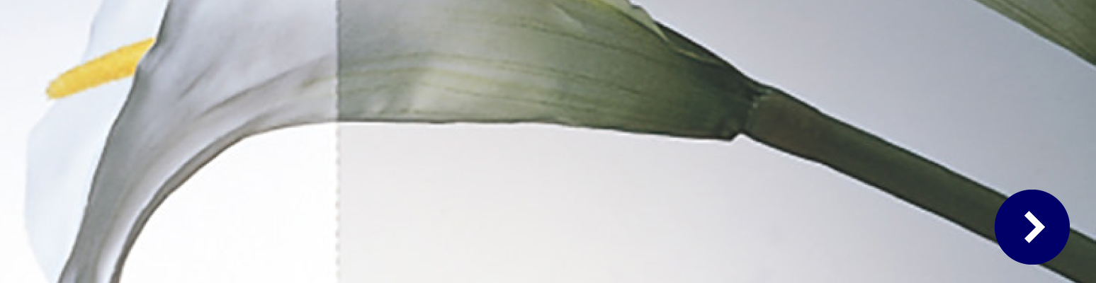 carbo-glass-image