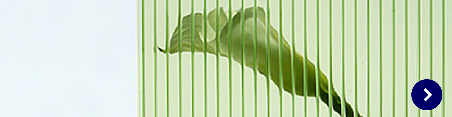 twin-carbo-glass-image